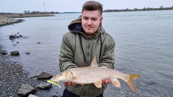 Schmeiß einfach mal rein in den Rhein