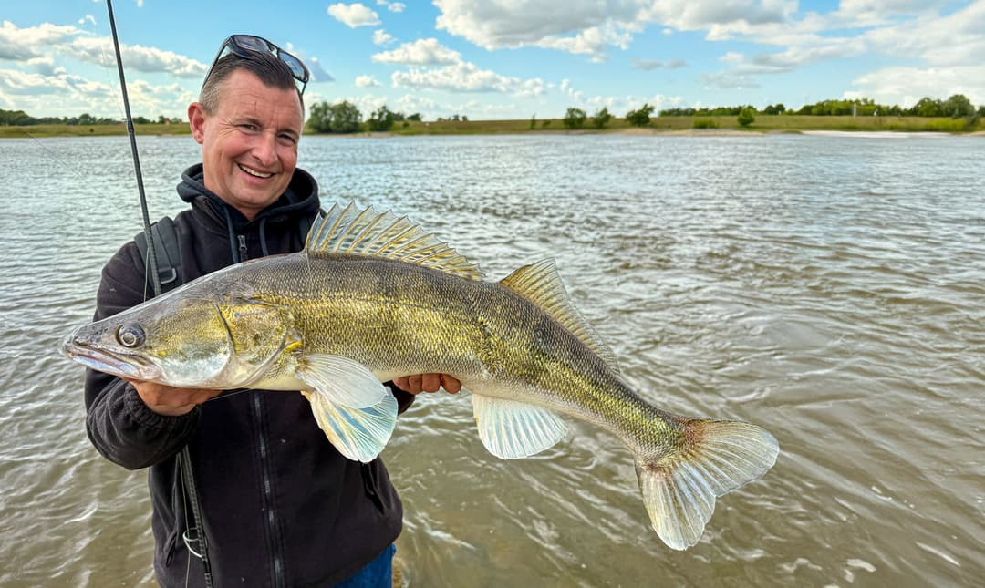 Gute Verbindung zum Zander