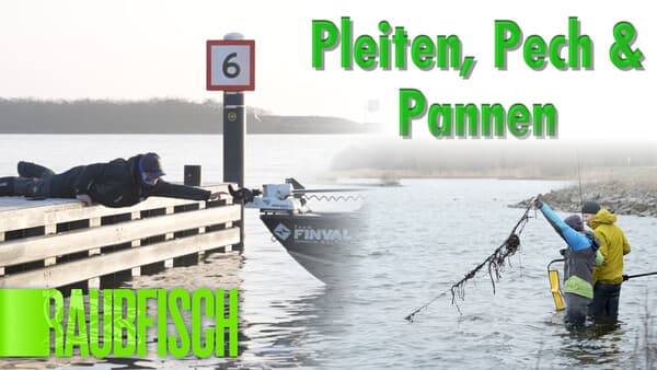 Pleiten, Pech & Pannen 2025