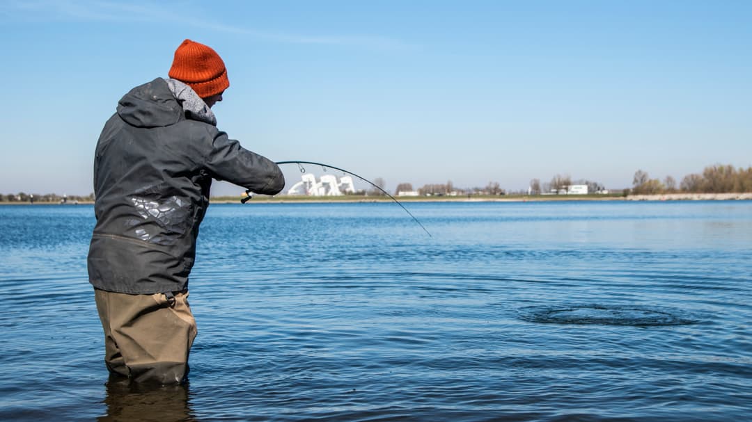 Glasaugen seicht erwischt