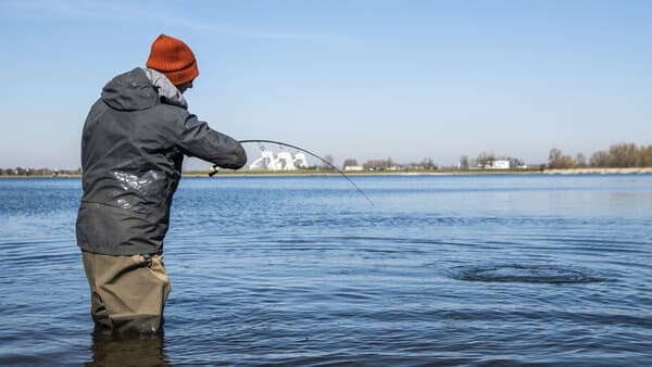 Glasaugen seicht erwischt