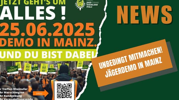 DJZ NEWS 28.05.2025