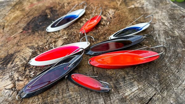 Fängt der Schuhlöffel tatsächlich  Fisch?