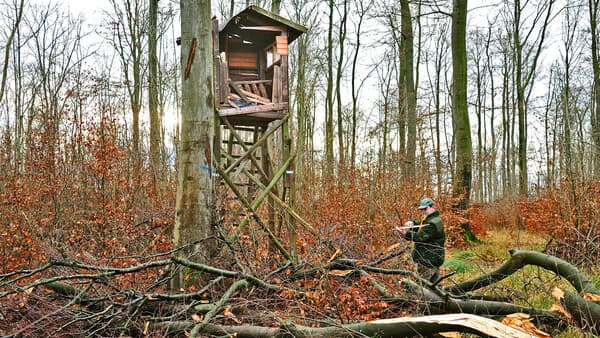 Hochsitz hinüber