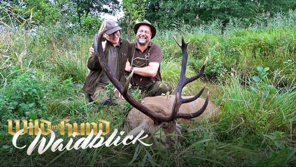 Zwei Freunde in Pommern - Hirschjagd in Trzebielino