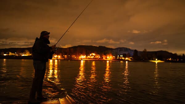 So ticken Zander: Nachtschicht am Rhein