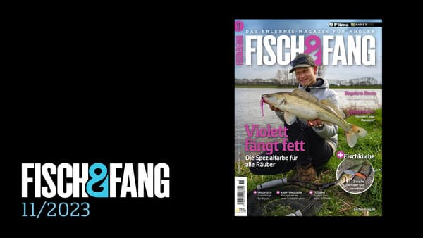 FISCH & FANG 11/2023