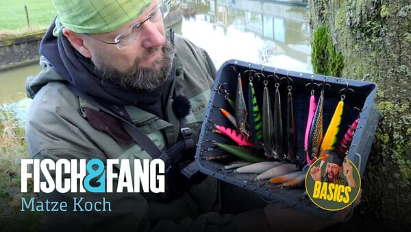 Matzes Basics: Ordnung