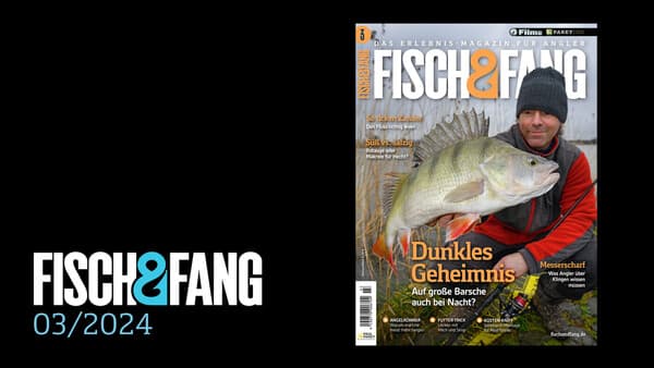 FISCH & FANG 03/2024