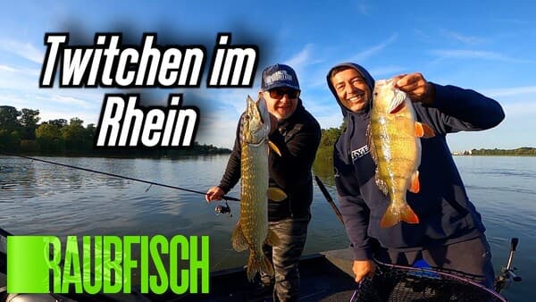Pegel rauf, die Barsche beißen!