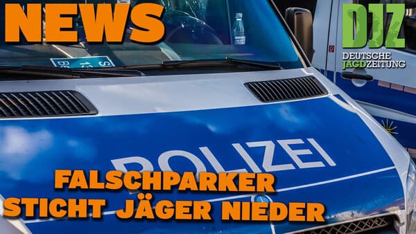 DJZ NEWS 14.02.2024