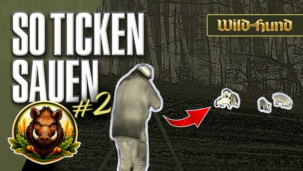 Nach der Reparatur geht’s rund – Wiedersehen auf den Wiesen