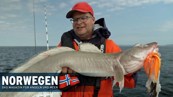Top-Revier Smøla