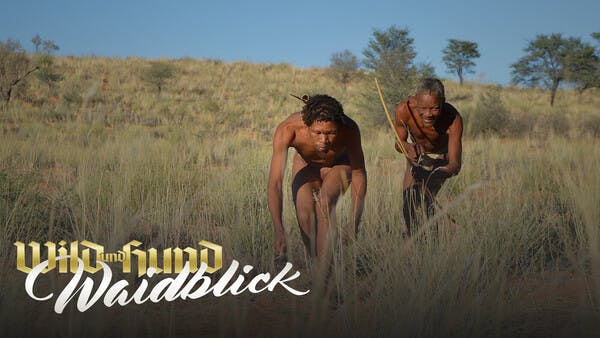 Die Buschmänner der Kalahari - Auf Gnu bei den Khomani-San