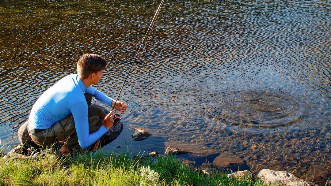 Kapier das Revier (4)