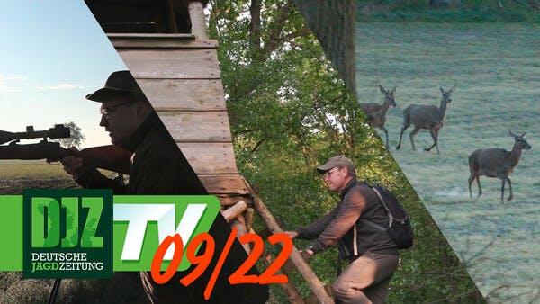 DJZ TV 09/2022