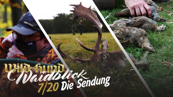 Waidblick - Die Sendung - Folge 7 2020