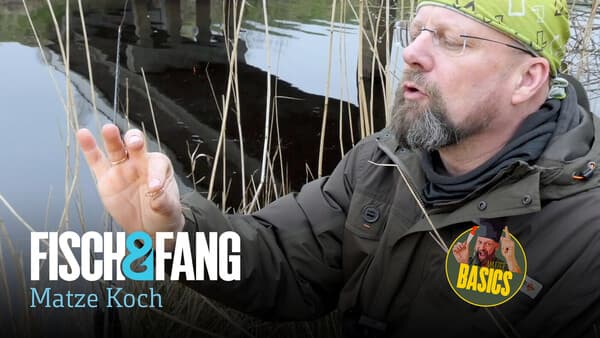 Matzes Basics: Zwischen Köder und Schnur