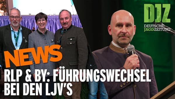 DJZ News 29. April 2026 – April-Finale