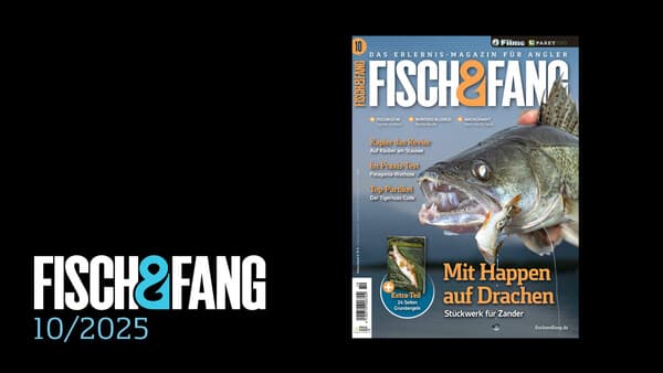FISCH & FANG 10/2025