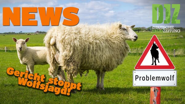 DJZ News 08.11.2023