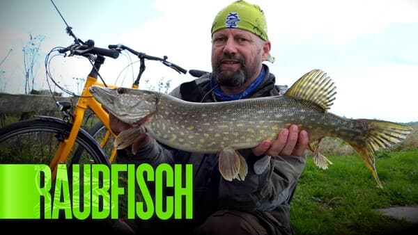 Per Fahrrad zum Fisch!