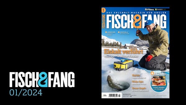 FISCH & FANG 01/2024