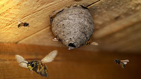 Abflug!