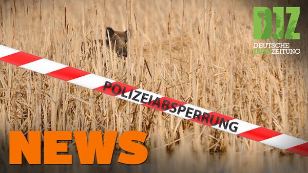 Wolf in Maishäcksler, Fellwechsel vor Neustart, Kronenhirsche u.w. - DJZ-News 42/2020