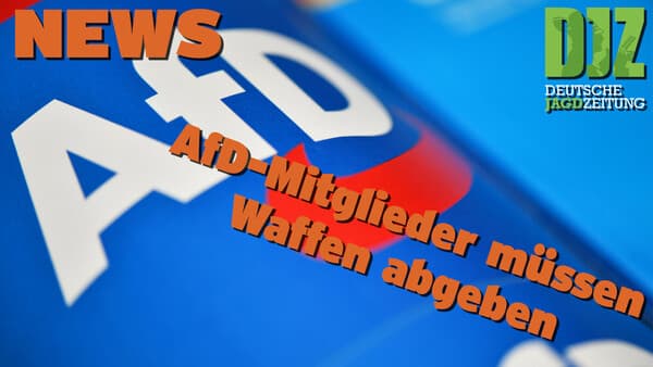 DJZ NEWS 03.07.2024