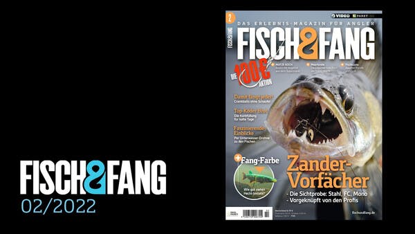 FISCH & FANG 02/2022