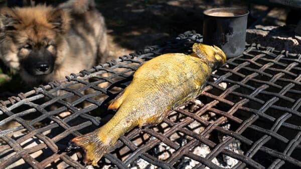 Grillen über offener Flamme