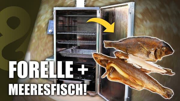 Die Räucher-Evolution