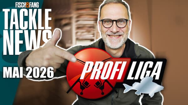 Tackle-News: Profi-Liga Barsch "Spezial"