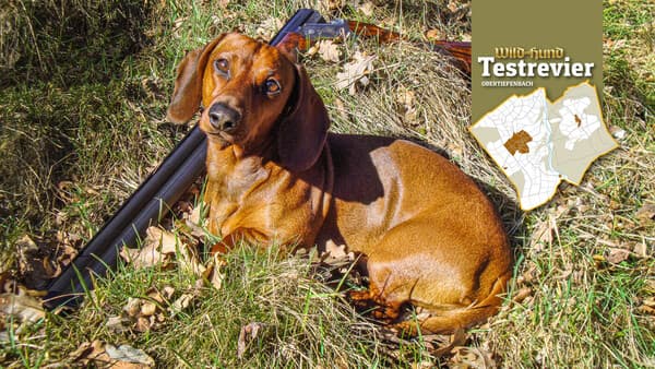 Paukenschlag am Schluss