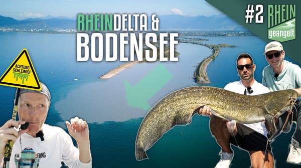 RHEINgeangelt: Folge 2