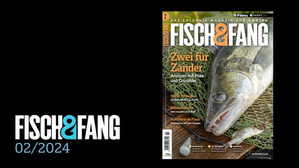 FISCH & FANG 02/2024