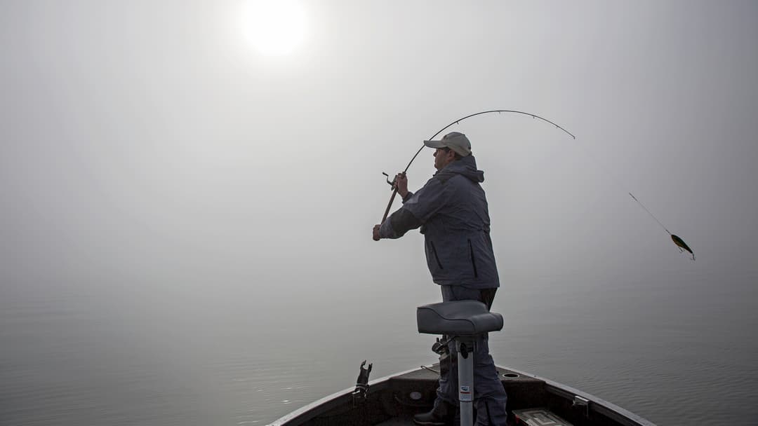 Köder allein fangen keine Fische