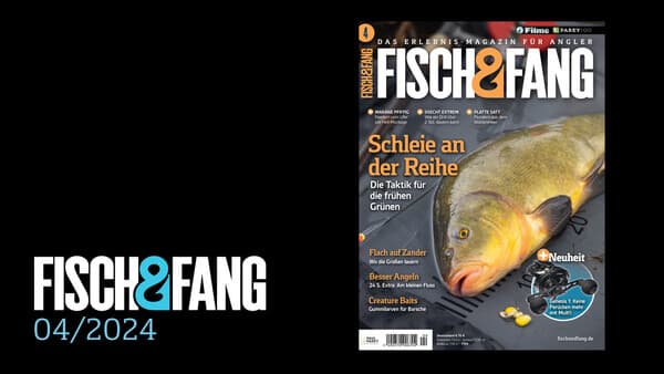 FISCH & FANG 04/2024