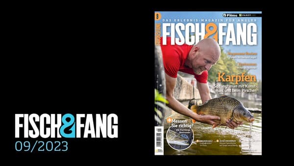 FISCH & FANG 09/2023