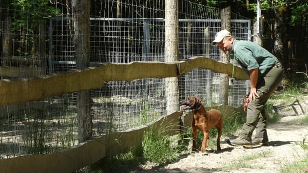 Sparring zum Stressabbau