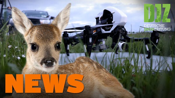 Drohnen zur Rehkitzrettung, Randalewutzen, weniger Muffel, mehr Wildbret u.w. - DJZ-News 12/2021