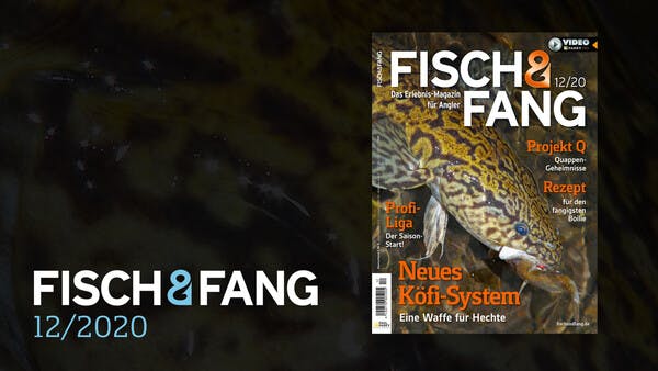 FISCH & FANG 12/2020