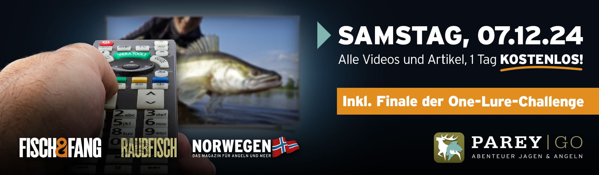 Tag der Kostenlosen Artikel und Videos