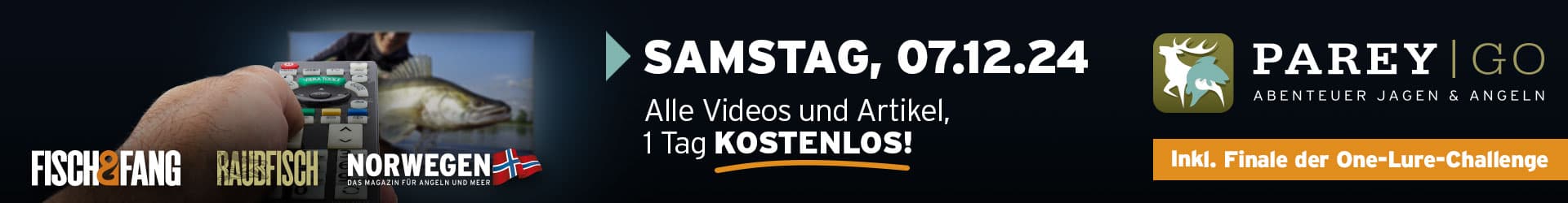 Tag der Kostenlosen Artikel und Videos