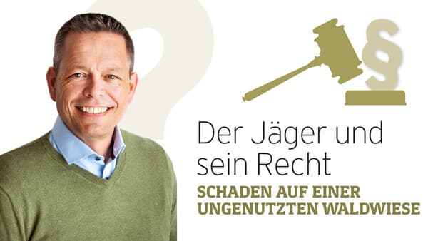 Schaden auf einer ungenutzten Waldwiese