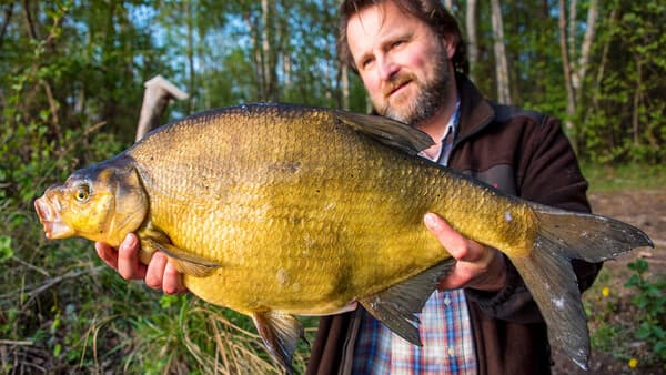 Mit Köpfchen auf große Brassen