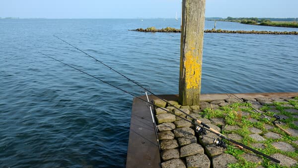 Deadbaiten im Sommer