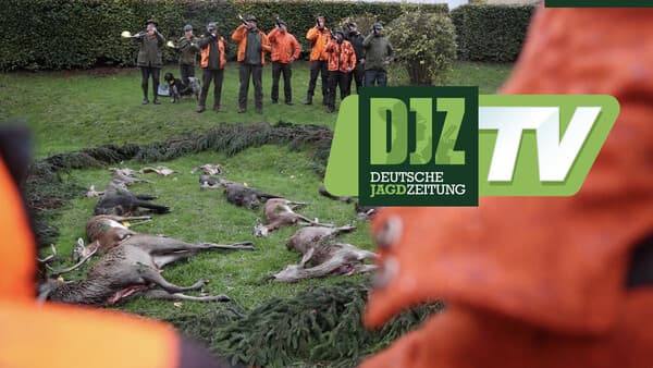 Traumziel Target World