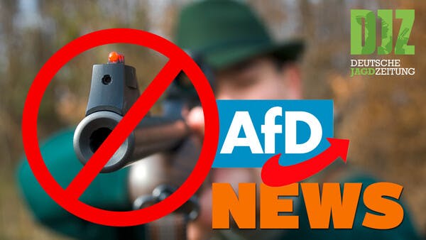 Sippenhaft für AFD-Mitglieder, Hessische Jäger waren fleißig, Berliner Waschbären u.w. - DJZ NEWS vom 6. Juli 2022.